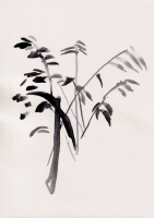 http://www.soerenhiob.com/files/gimgs/th-99_neue scanns februar 5 3.jpg